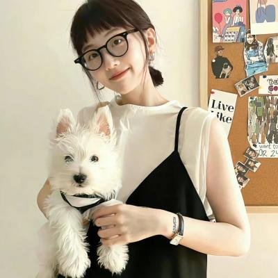 灿烂人生